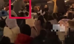 迪士尼游客爆料视频,现场实况直击，揭秘梦幻乐园背后的真实故事