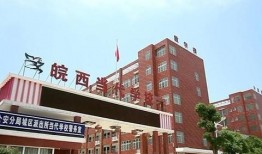 重庆学校爆料新闻视频,揭秘校园内幕事件