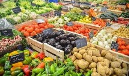 深圳菜市场爆料视频,探寻市井生活百态